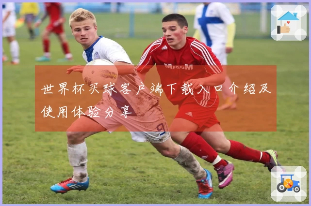 世界杯买球客户端下载入口介绍及使用体验分享