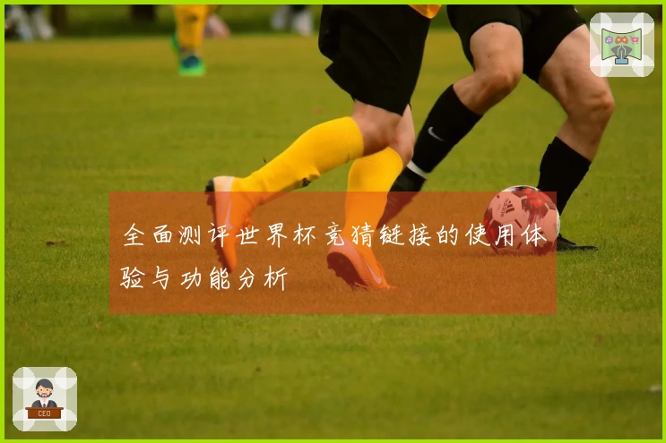 全面测评世界杯竞猜链接的使用体验与功能分析