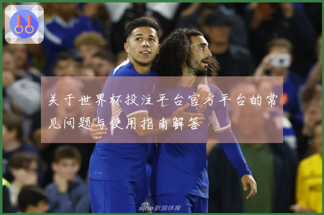 关于世界杯投注平台官方平台的常见问题与使用指南解答
